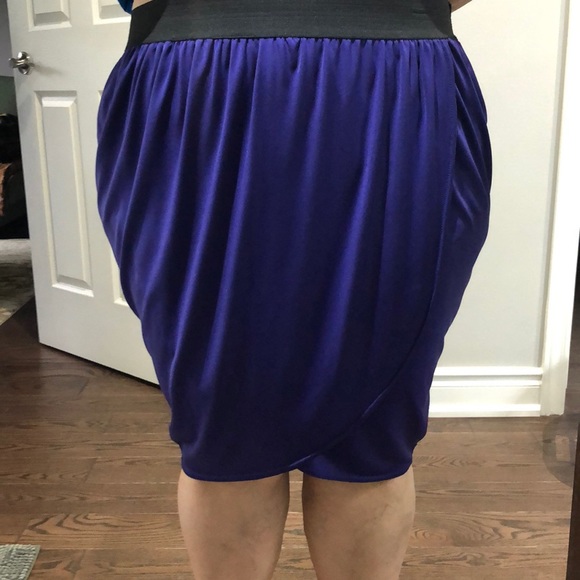 Purple Skirt - Picture 4 of 4